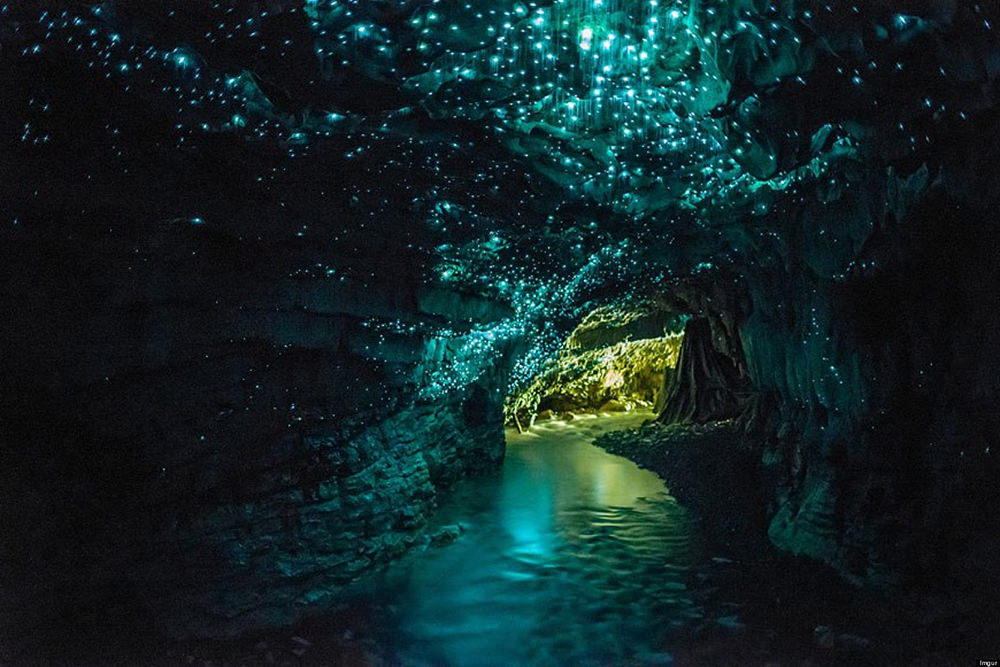 22-Glowworm Caves