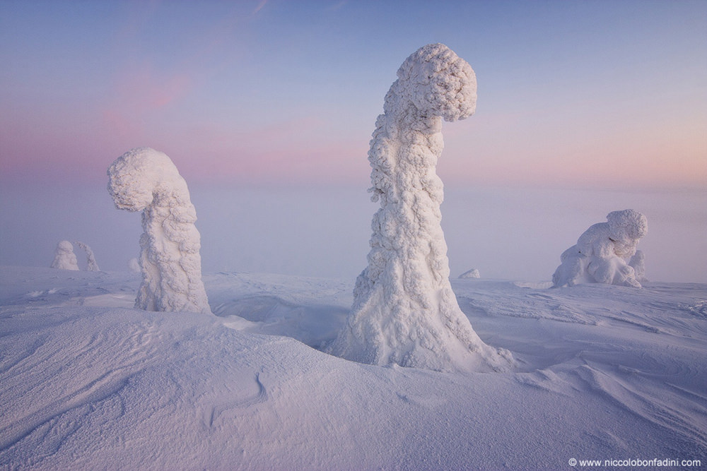 4-Sentinels of the Arctic