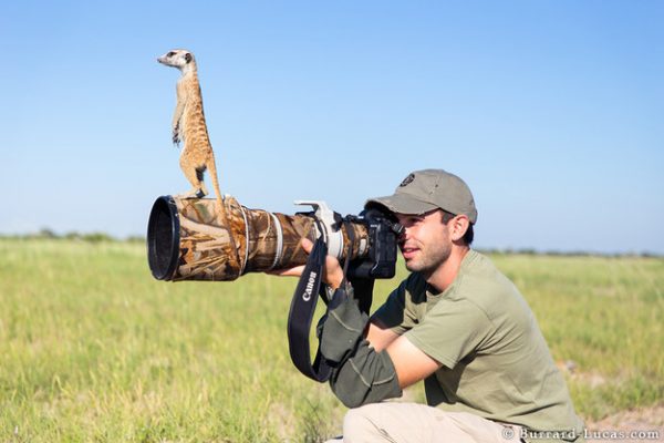 4-man-meerkat-friendship