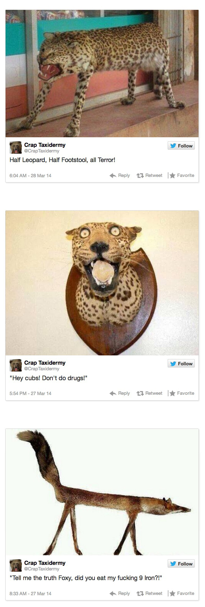 combined-crap-taxidermy-4