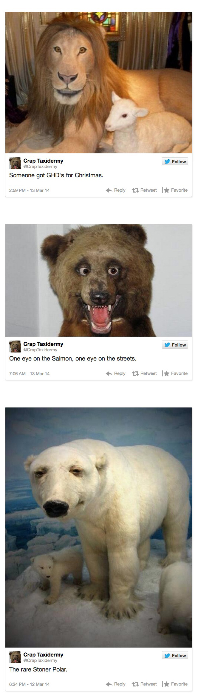 combined-crap-taxidermy