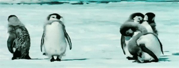 penguin-dancing-600