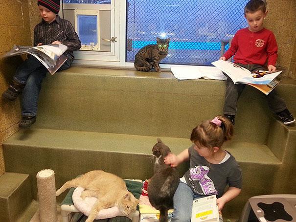 reading-children-shelter-cats-book-buddies-10