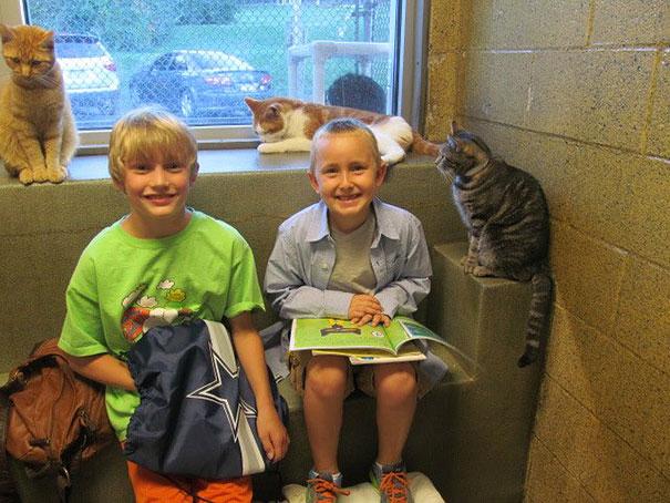 reading-children-shelter-cats-book-buddies-12