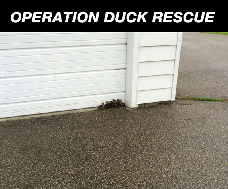 1-cool-duck-rescue-garage-street