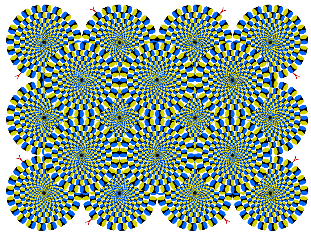 24-illusions
