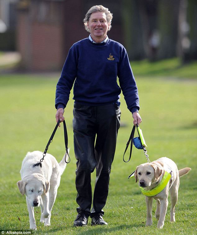 guide-dog-loses-sight-so-owner-gets-a-new-guide-dog-for-both-of-them-3