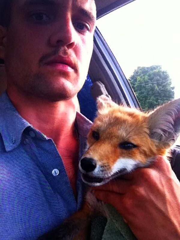 fox-rescue2