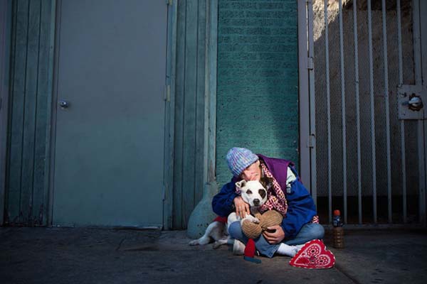 homeless-and-dogs