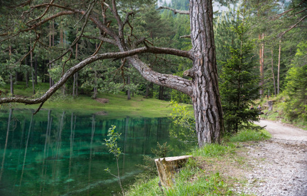 Gr¸ner See (Green Lake), TragË†ï¬‚, Styria, Austria