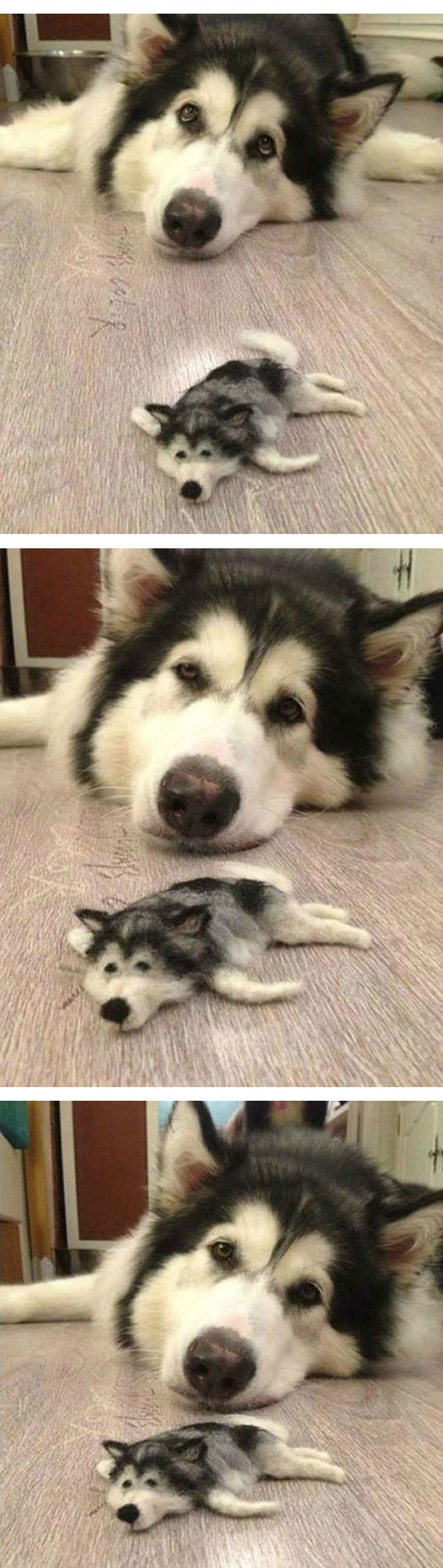 funny-dog-toy-fur-little