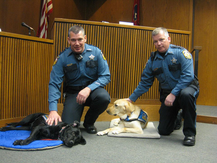 7-courthouse-dogs-calm-witness-victim-ellen-oneill-celeste-walsen